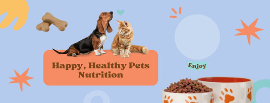 Essential Pet Care Tips for Happy, Healthy Pets Nutrition