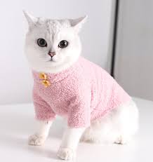 Cat Outfit