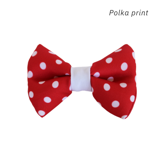 Bow Tie with White Trim