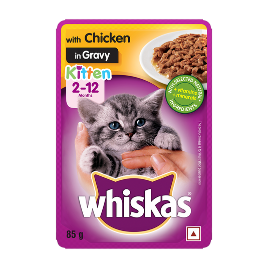 Whiskas Wet Food For Kittens (2-12 Months), Chicken Ingravy (Pack of 12)