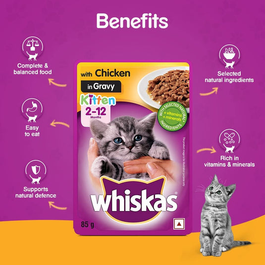 Whiskas Wet Food For Kittens (2-12 Months), Chicken Ingravy (Pack of 12)