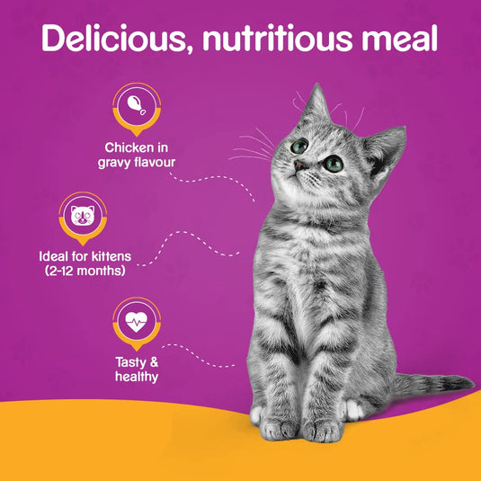 Whiskas Wet Food For Kittens (2-12 Months), Chicken Ingravy (Pack of 12)