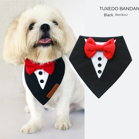 Tuxedo Vest Bandana (Black & Red Bow)