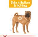 Royal Canin Medium Dermacomfort