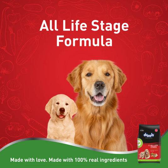 Drools 100% Vegetarian All Life Stages Dog Dry Food