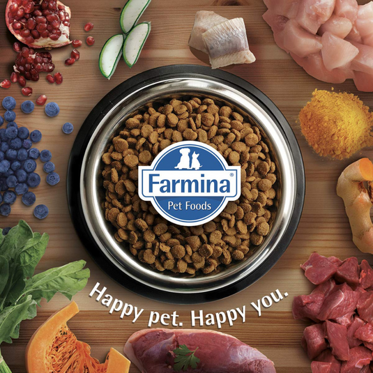 FARMINA PET FOODS Quinoa Digestion Dry Dog Food,grain-Free, Adult Breed,Lamb Mint and Fennel