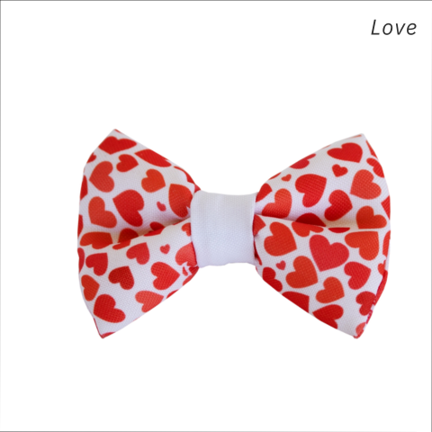 Bow Tie with White Trim