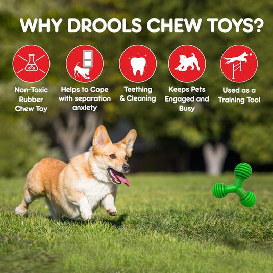 Drools Dog Trio Bolt Toy