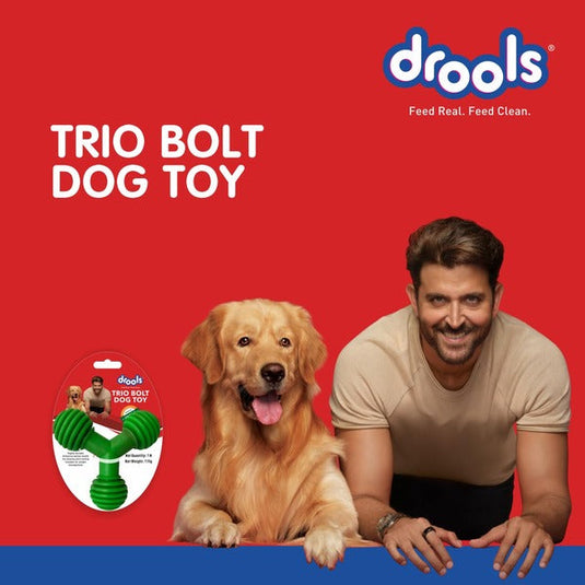 Drools Dog Trio Bolt Toy