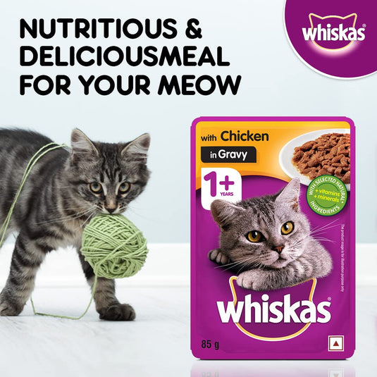 Whiskas Adult Wet Cat Food, Chicken Ingravy (Pack of 12)