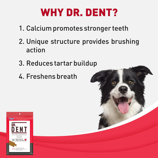 Drools Dr. Dent Oral Care Sticks (For Medium Breed Dog/ Large Breed Dog),