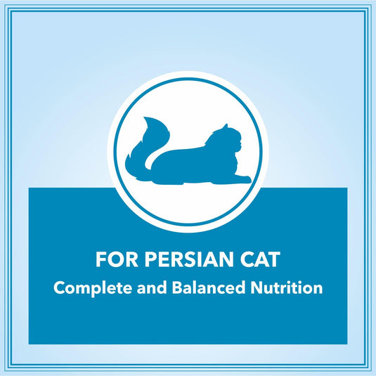 Let's Bite Persian Dry Cat Food,Ocean Fish