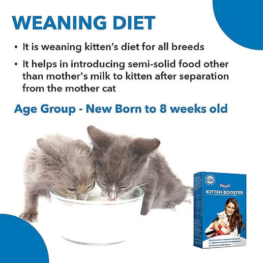 Drools Kitten Booster - Kitten Weaning Diet for All Breeds