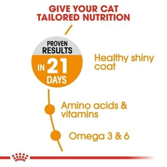 Royal Canin Hair and Skin Dry Adult Cat Food