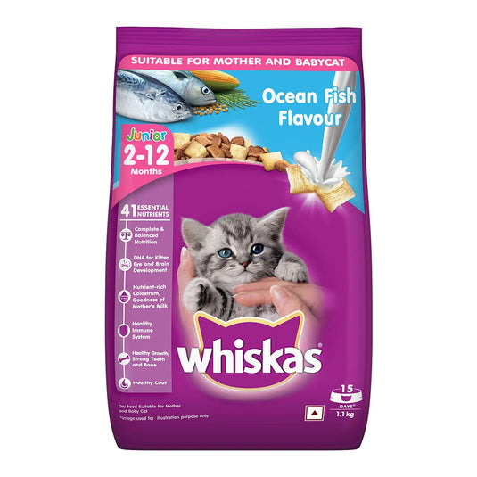 Whiskas Kitten (2-12 months) Dry Cat Food, Ocean Fish