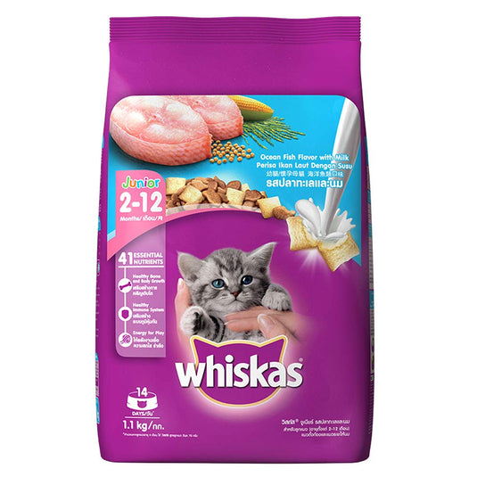 Whiskas Kitten (2-12 months) Dry Cat Food, Mackerel Flavour