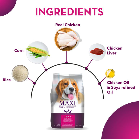 Maxi Adult Dry Dog Food, Chicken and Liver, 20 Kg Pack