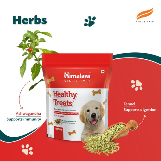 Himalaya Healthy Dog Biscuit Treats (Puppy)