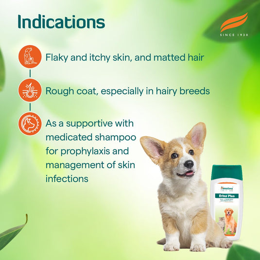 Himalaya Erina Plus Coat Cleanser With Conditioner For Dogs And Cats, 200 ml