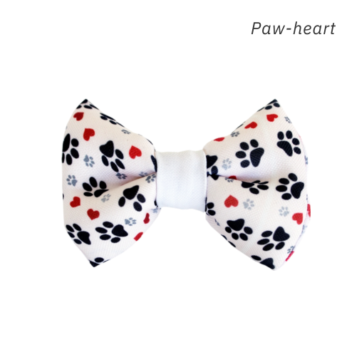 Bow Tie with White Trim