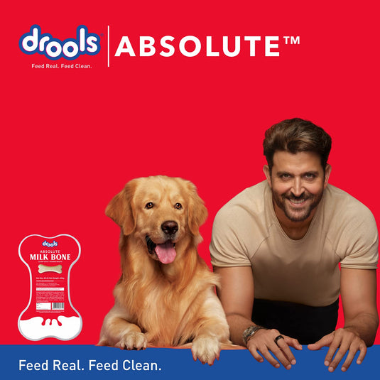 Drools Absolute Dog Bone Treats, Milk Flavour