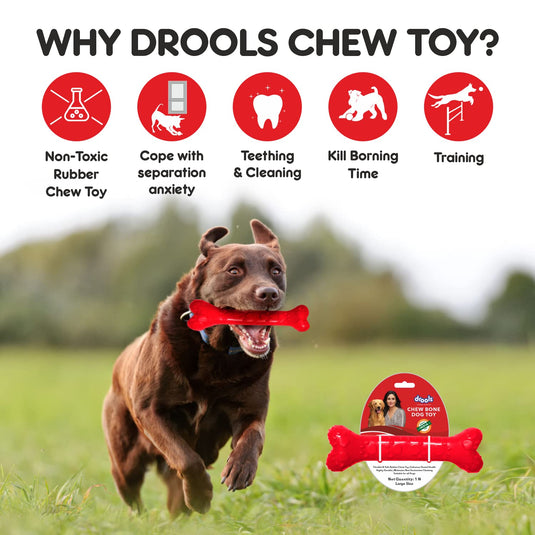 Drools Chew Bone Teething Dog Toy