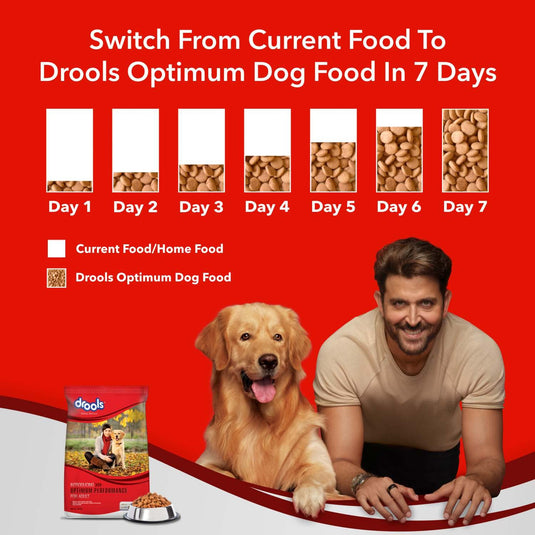 Drools Adult Dry Dog Food Optimum Performance