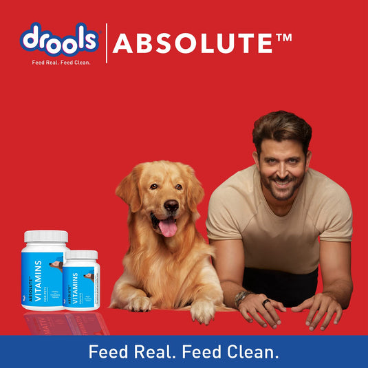 Drools Absolute Vitamin Tablet- Dog Supplement