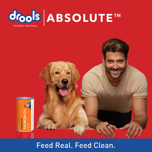 Drools Absolute Dog Supplement Syrup ,Salmon Flavour