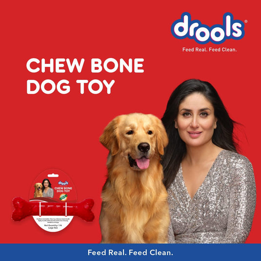 Drools Chew Bone Teething Dog Toy