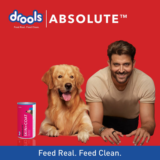 Drools Absolute Dog Supplement Syrup, Skin+ Coat