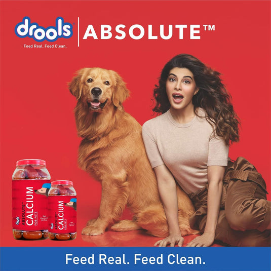 Drools Absolute Dog Supplement Calcium Sausage Jar