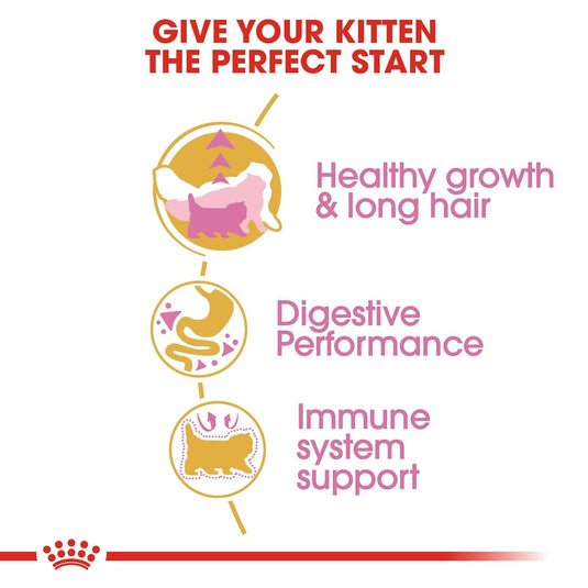 Royal Canin Kitten Persian Pellet Cat Food