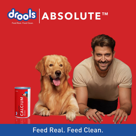 Drools Absolute Dog Supplement Syrup, Calcium Flavor