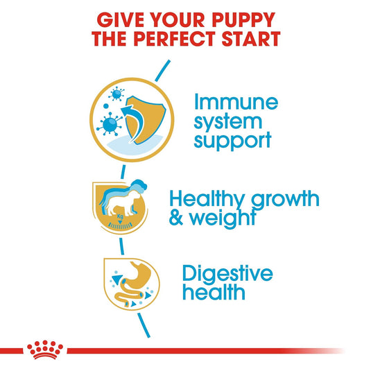 Royal Canin Labrador Retriever Puppy Kibble Dog Food