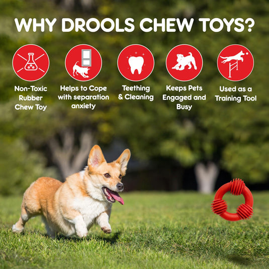 Drools Dog Trio Bolt Ring Toy