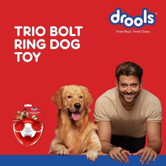 Drools Dog Trio Bolt Ring Toy