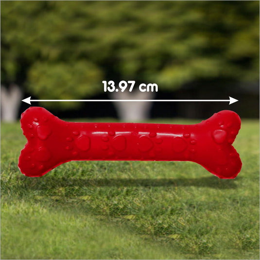 Drools Chew Bone Teething Dog Toy