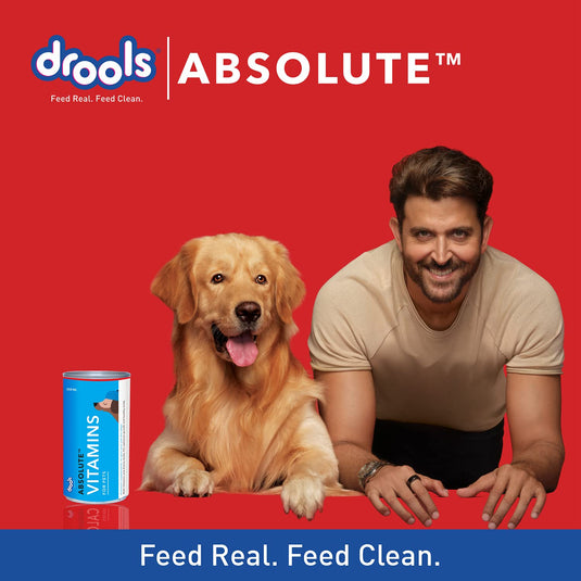 Drools Absolute Dog Supplement Syrup,Vitamin Flavor