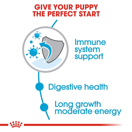 Royal Canin Maxi Pellet Puppy Dog Food