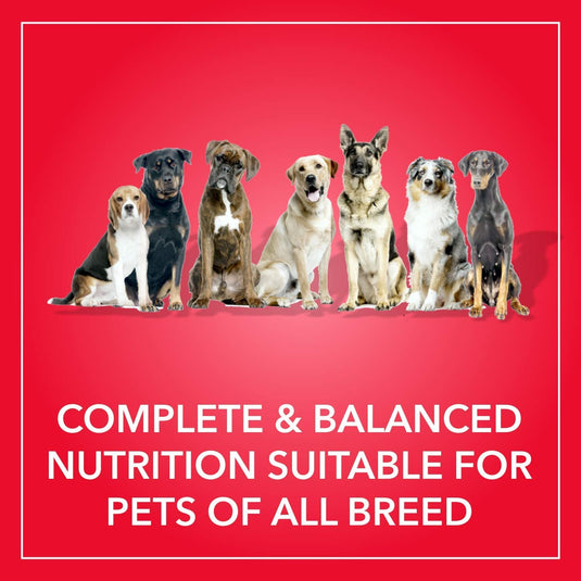 Purepet Chicken & Vegetable Adult Dog Dry Food