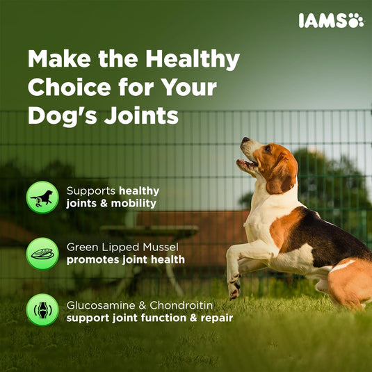 IAMS Proactive Health- Dog Supplement for Joint Support