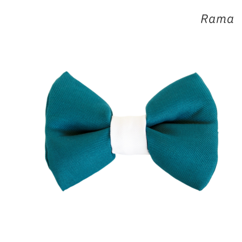 Teal Pre-Tied Bow Tie with White Trim