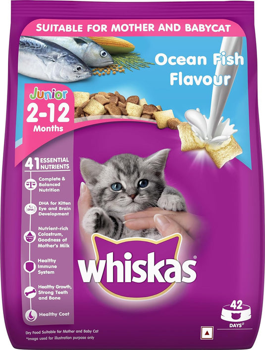 Whiskas Kitten (2-12 months) Dry Cat Food, Ocean Fish