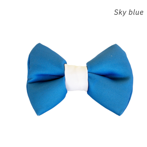 Teal Pre-Tied Bow Tie with White Trim