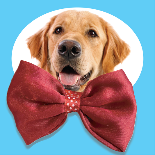 Papa PAwsome Handmade Bow Tie