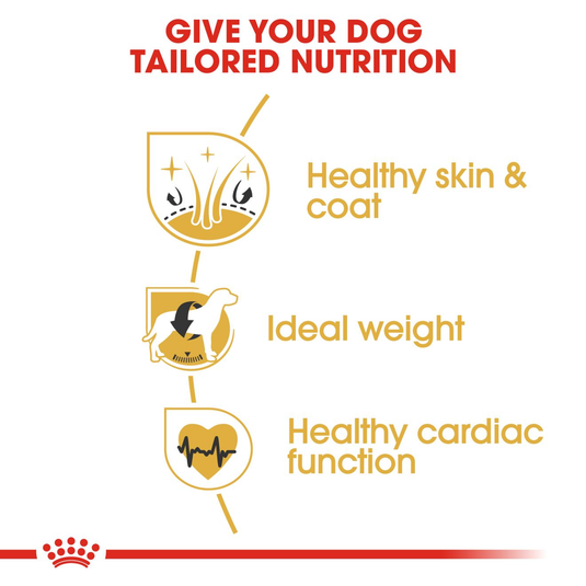 Royal Canin Cocker Adult Dry Dog Food