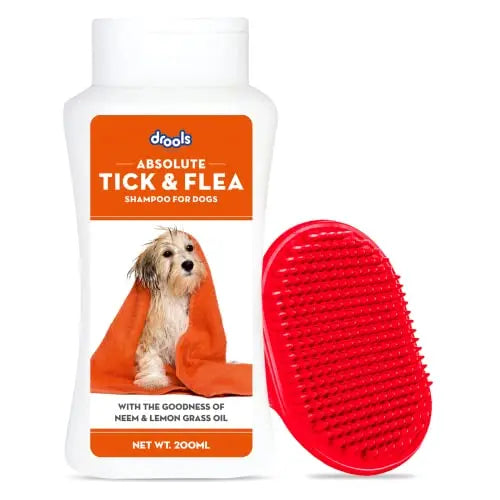 Drools Combo of Tick and Flea Repellent Shampoo for Dogs