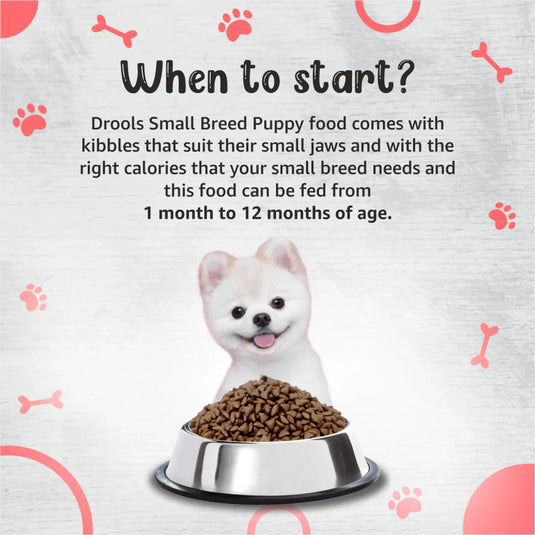 Drools Small Breed Puppy Dry Dog Premium Food