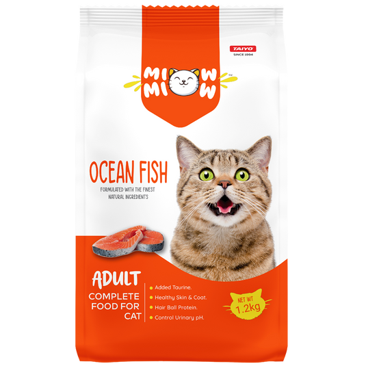 Miow Miow – Adult Ocean Fish